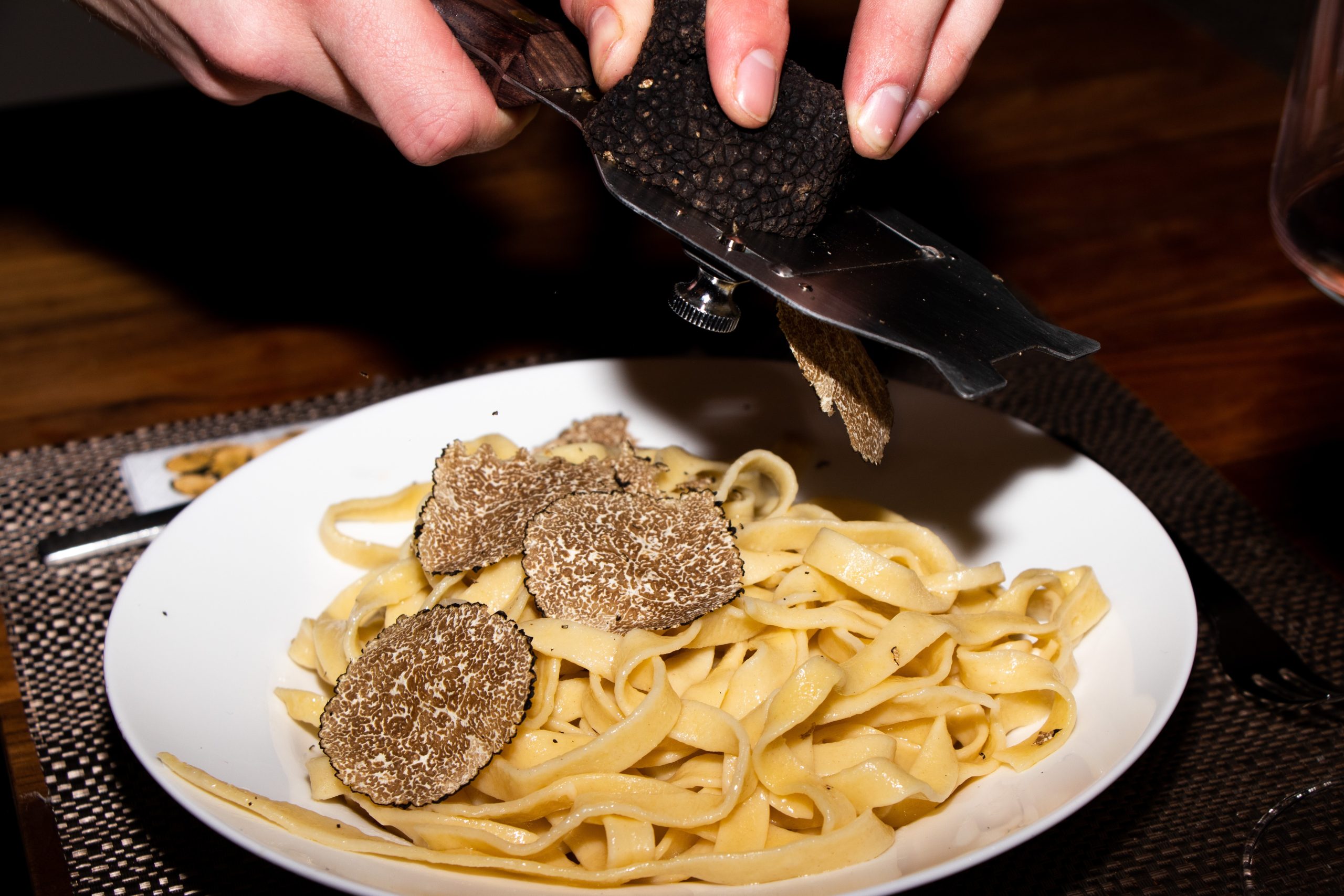 Read more about the article Truffles: what is so special about these underground treasures?